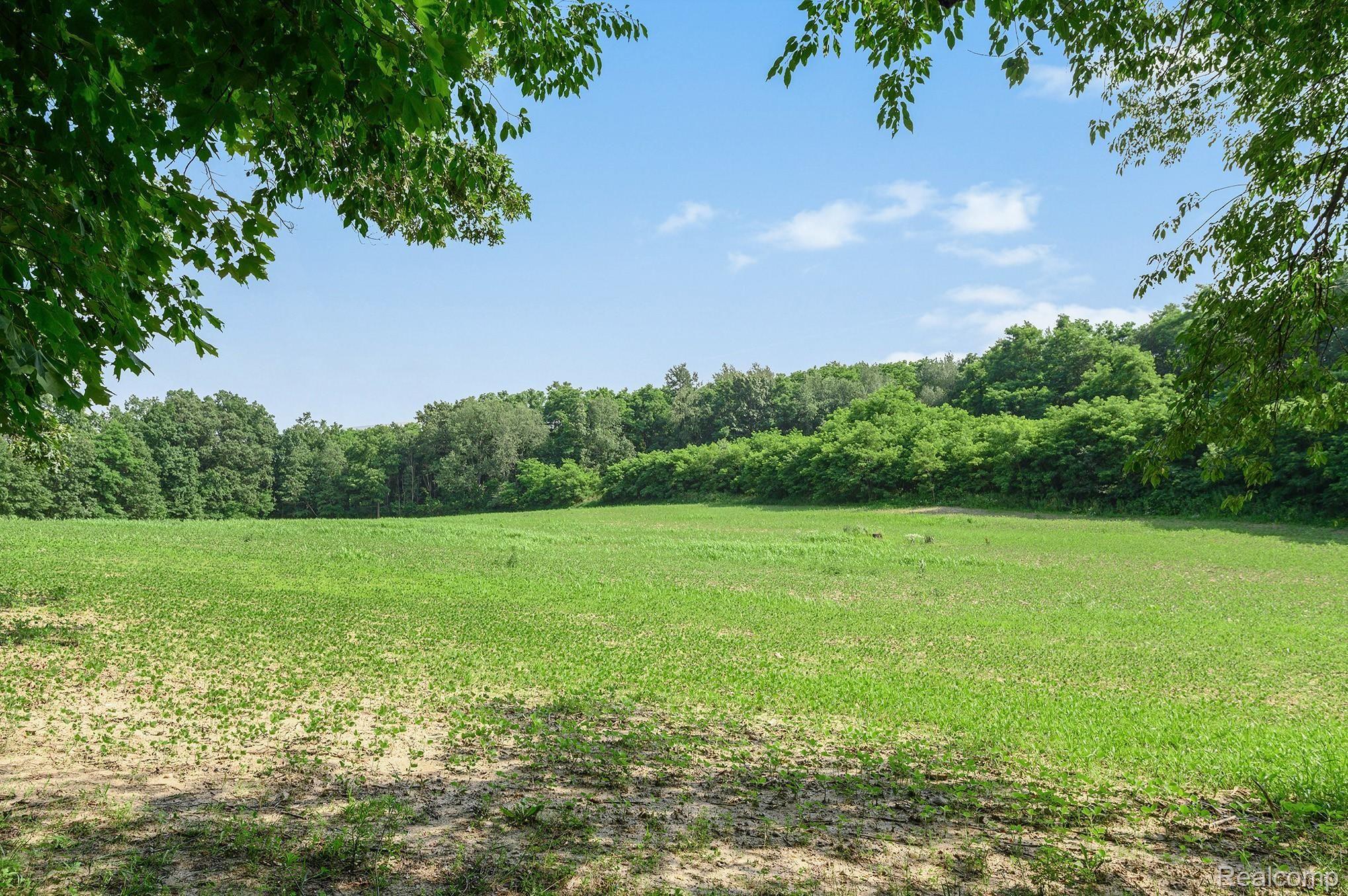 7484 Hartland Road Fenton, MI 48430 - Photo 50 of 62 34.jpg