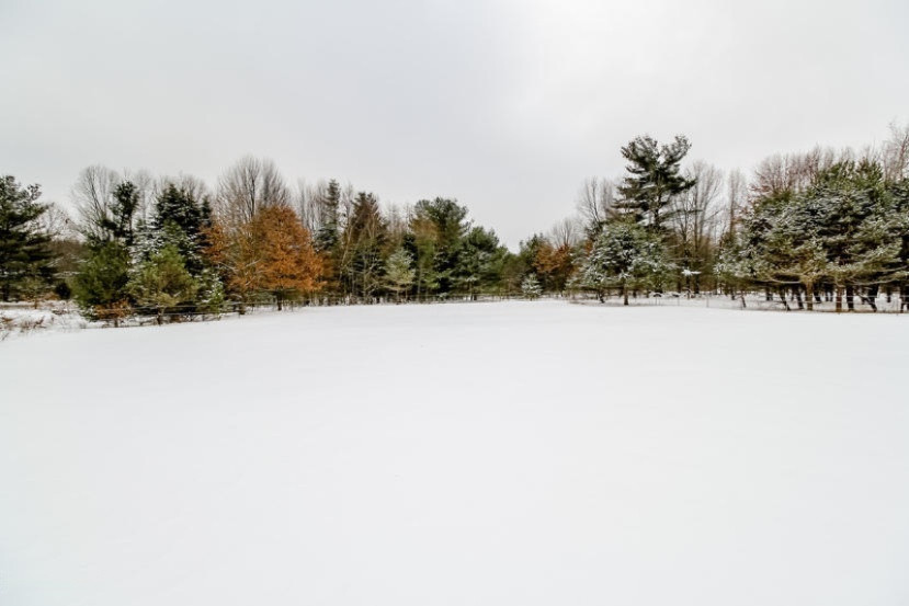 19901 4 Mile Road Morley, MI 49336 - Photo 36 of 37 036-Exterior-1406964-mls