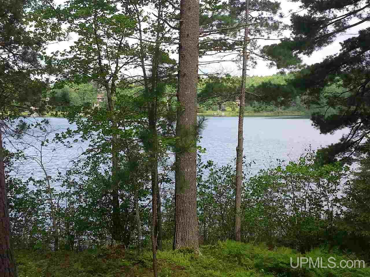 440 Long Lake Road Crystal Falls, MI 49920 - Photo 2 of 17 Gallery Image 2