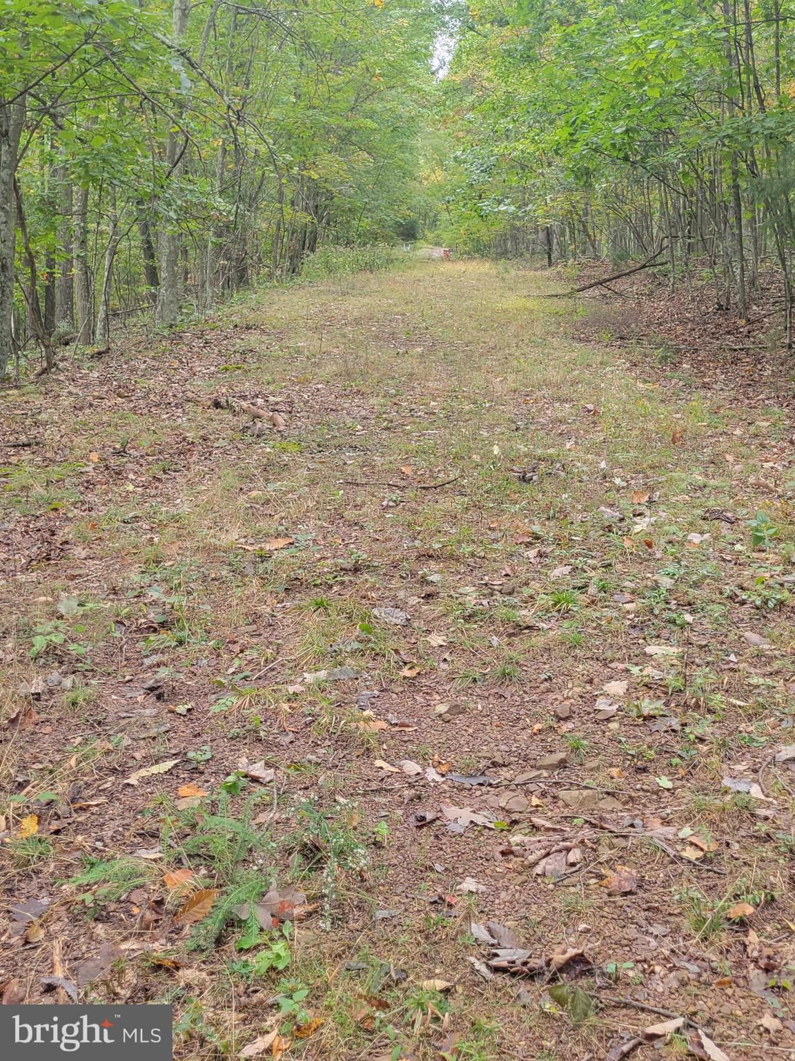 Bear Road Delray, WV 26714 - Photo 6 of 8 Gallery Image 6
