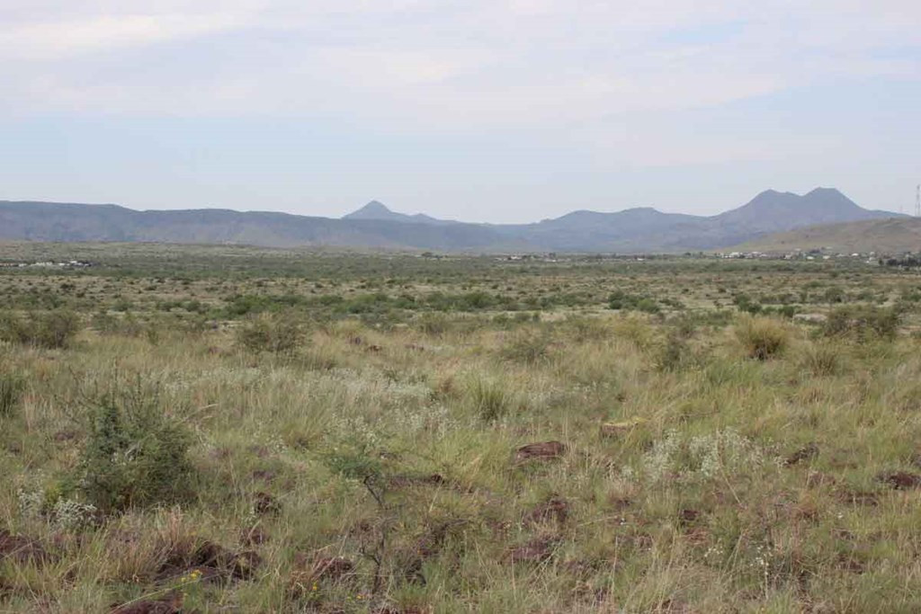 13 Sierra La Rana Alpine, TX 79830 - Photo 7 of 8 Photo 7