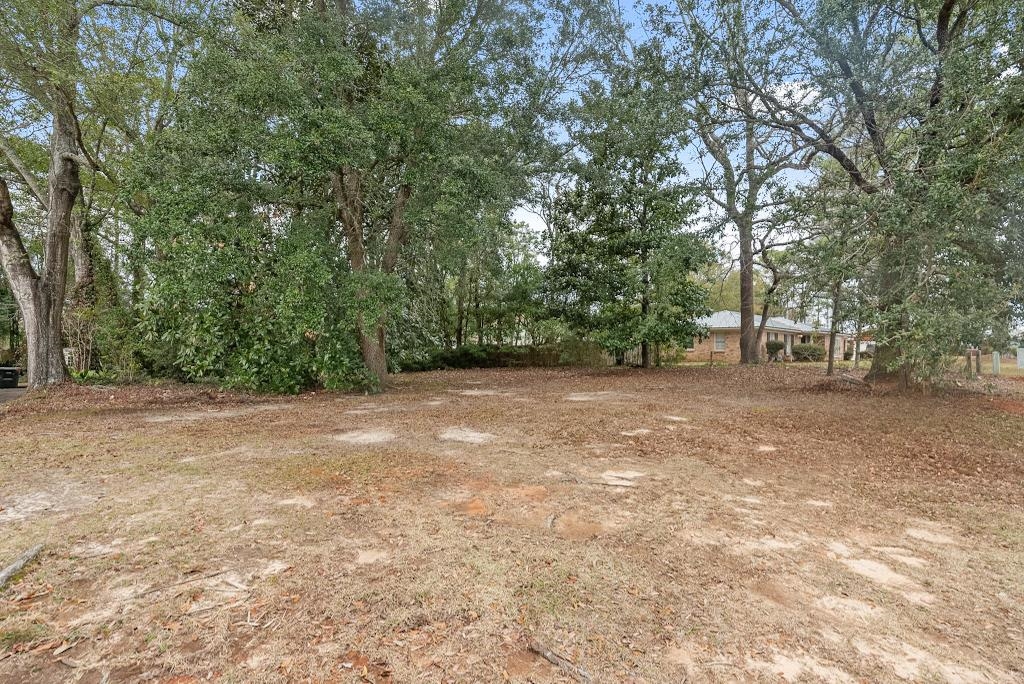 554 Stuart Street Daphne, AL 36526 - Photo 46 of 49 Yard