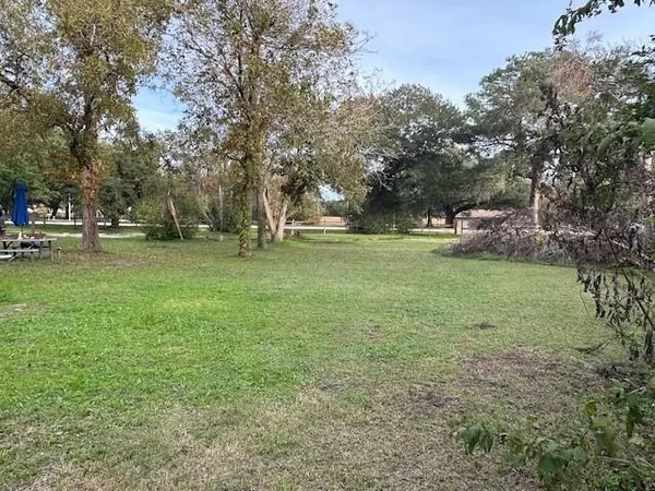 a view of a park with large trees