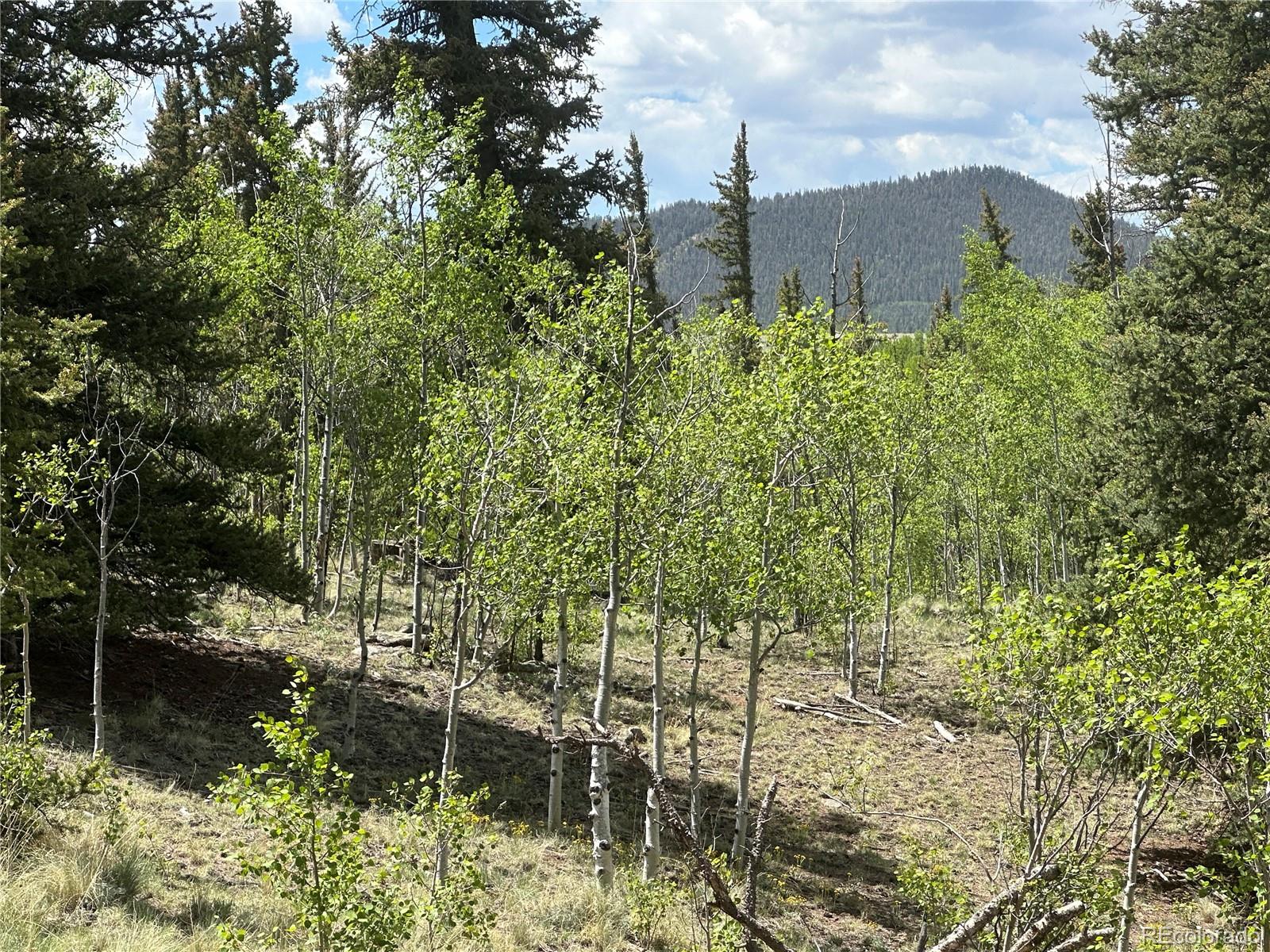 2092 Stagestop Road Jefferson, CO 80456 - Photo 12 of 27