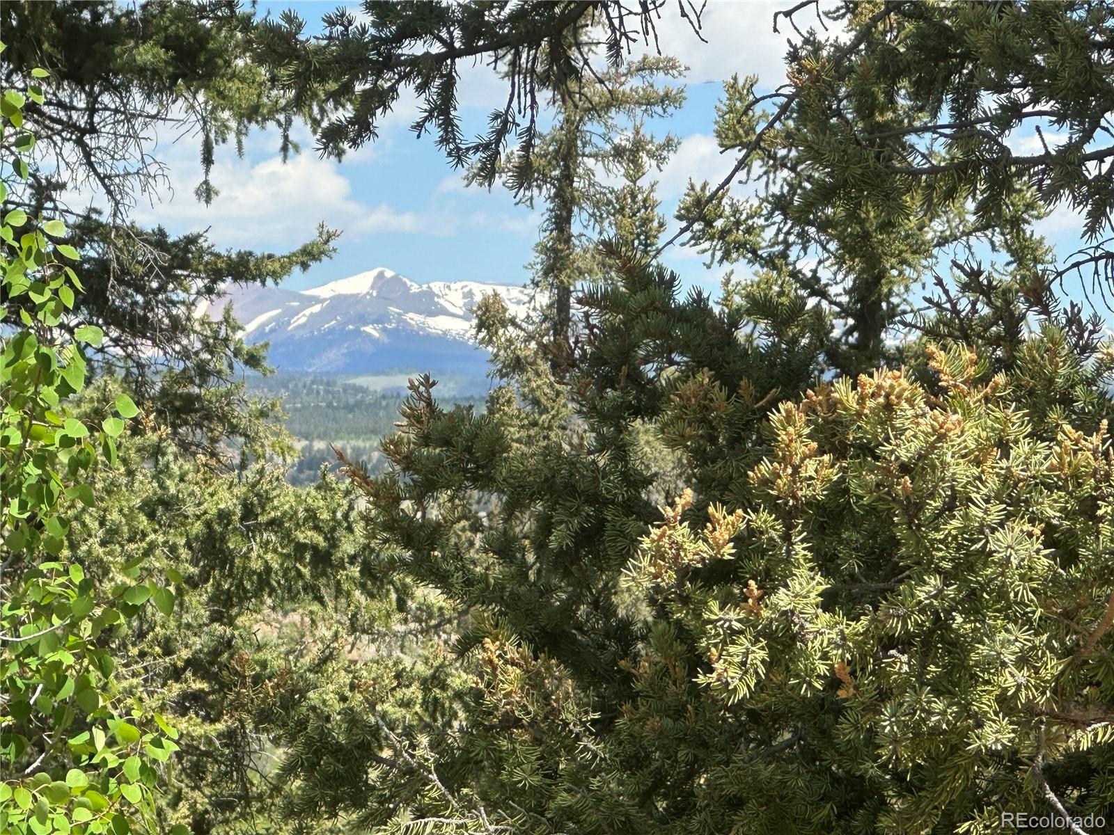 2092 Stagestop Road Jefferson, CO 80456 - Photo 15 of 27