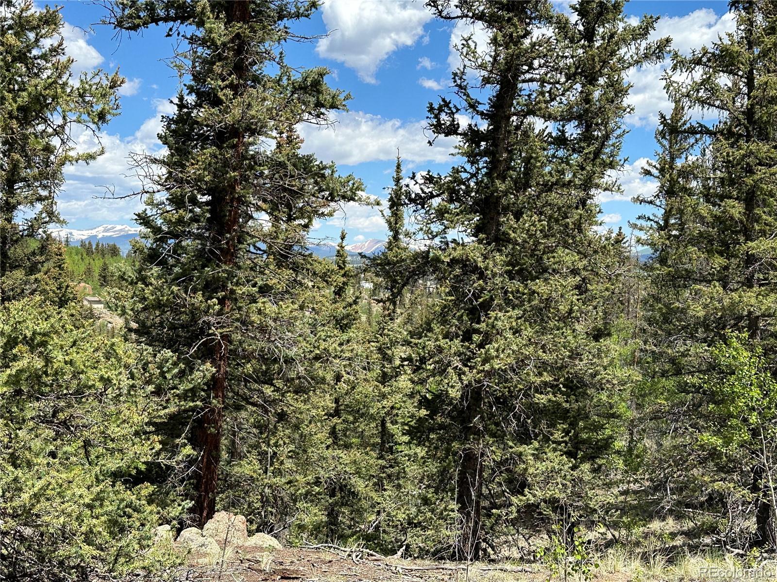 2092 Stagestop Road Jefferson, CO 80456 - Photo 17 of 27