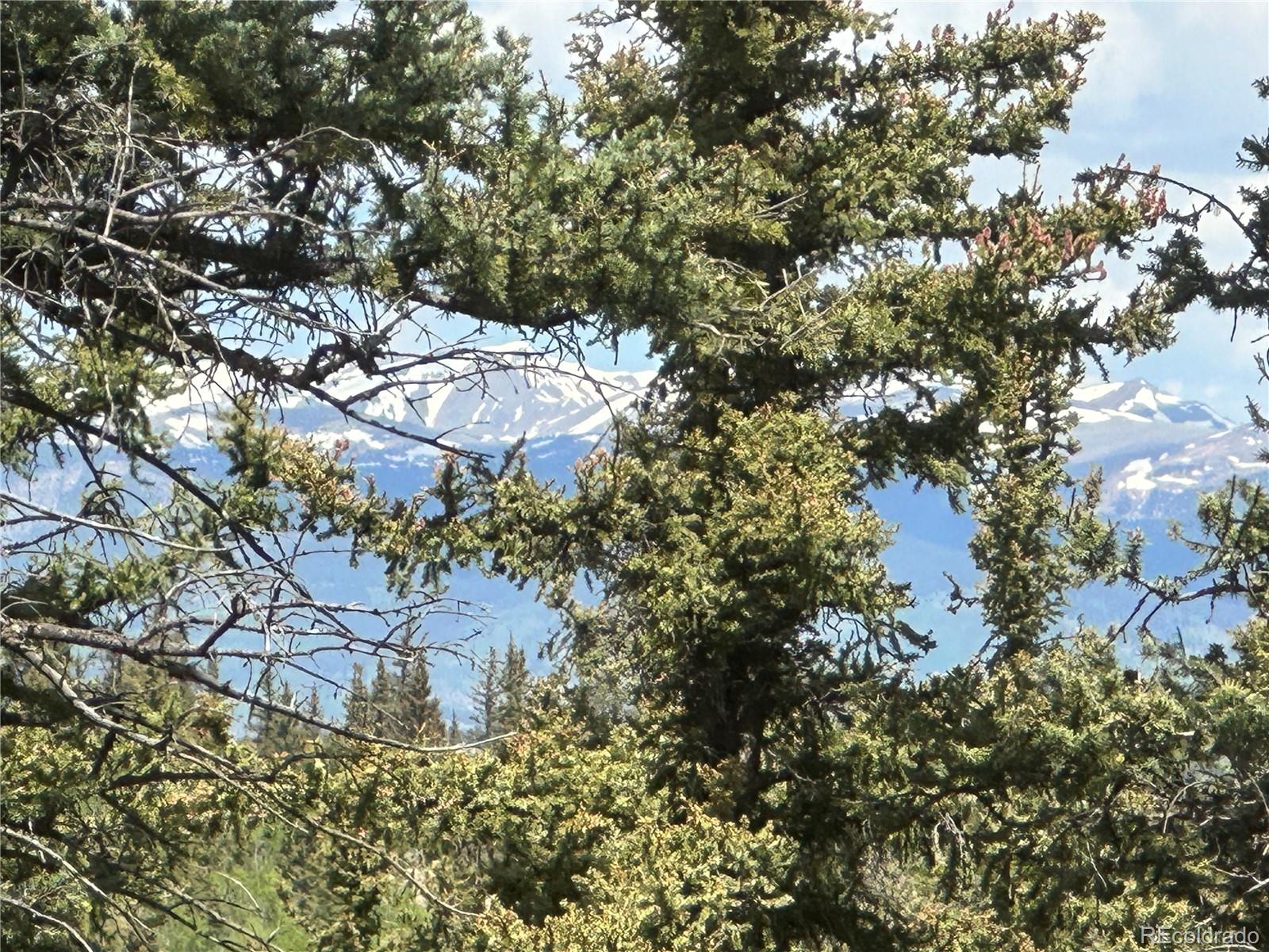 2092 Stagestop Road Jefferson, CO 80456 - Photo 18 of 27