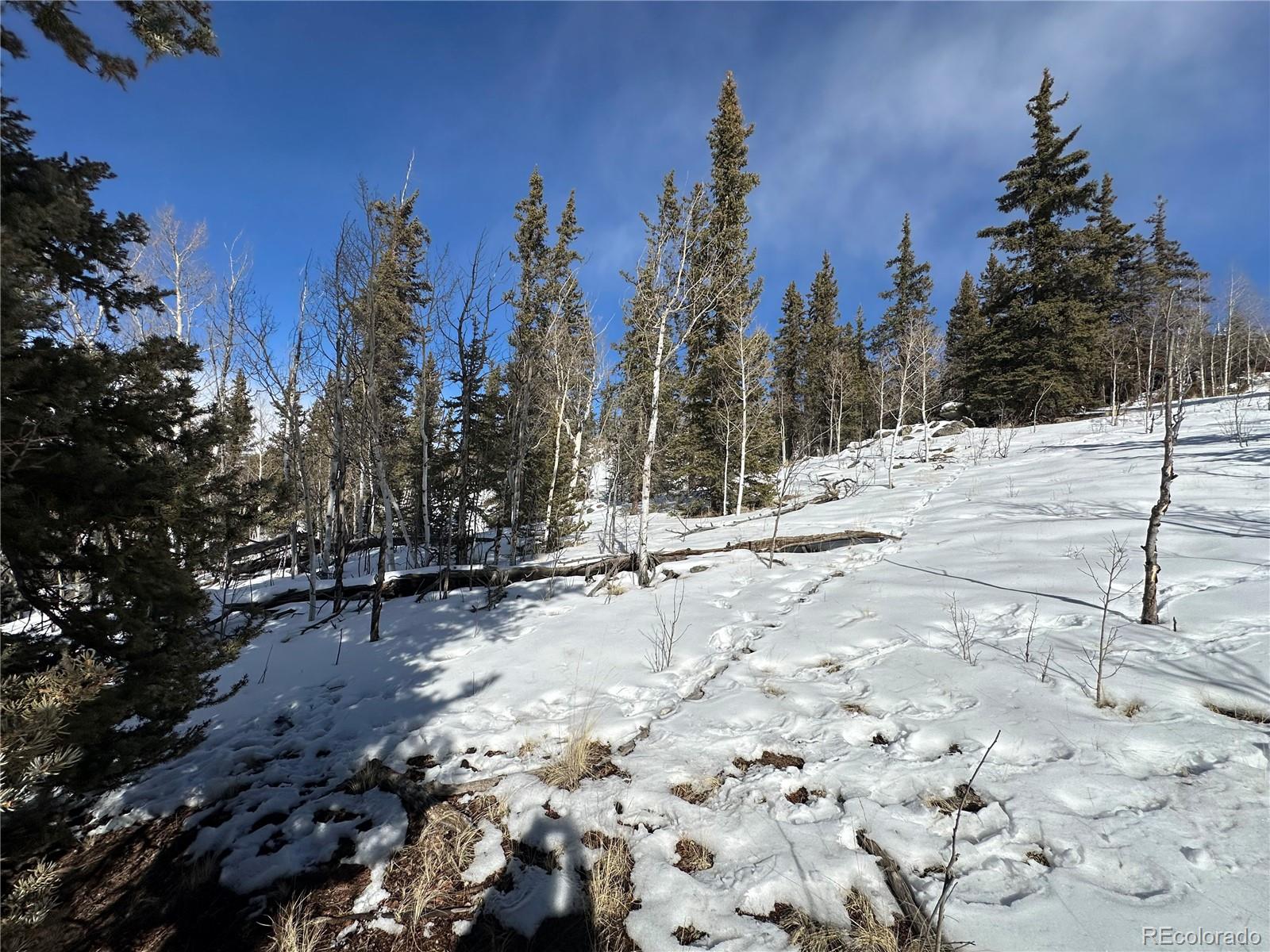 2092 Stagestop Road Jefferson, CO 80456 - Photo 21 of 27