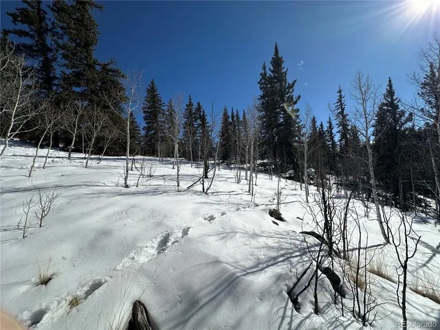 $133,500 | 2092 Stagestop Road, Jefferson, CO 80456