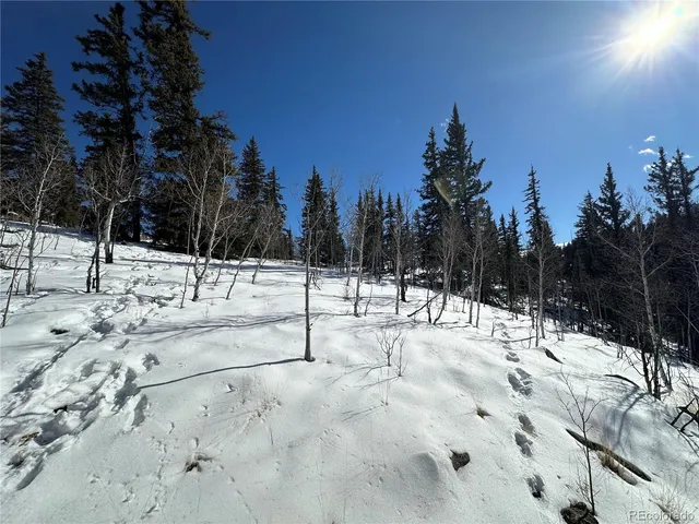 $133,500 | 2092 Stagestop Road, Jefferson, CO 80456