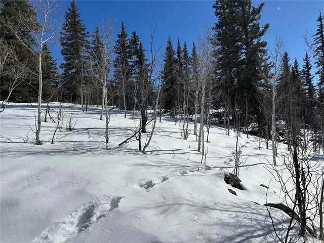 $133,500 | 2092 Stagestop Road, Jefferson, CO 80456