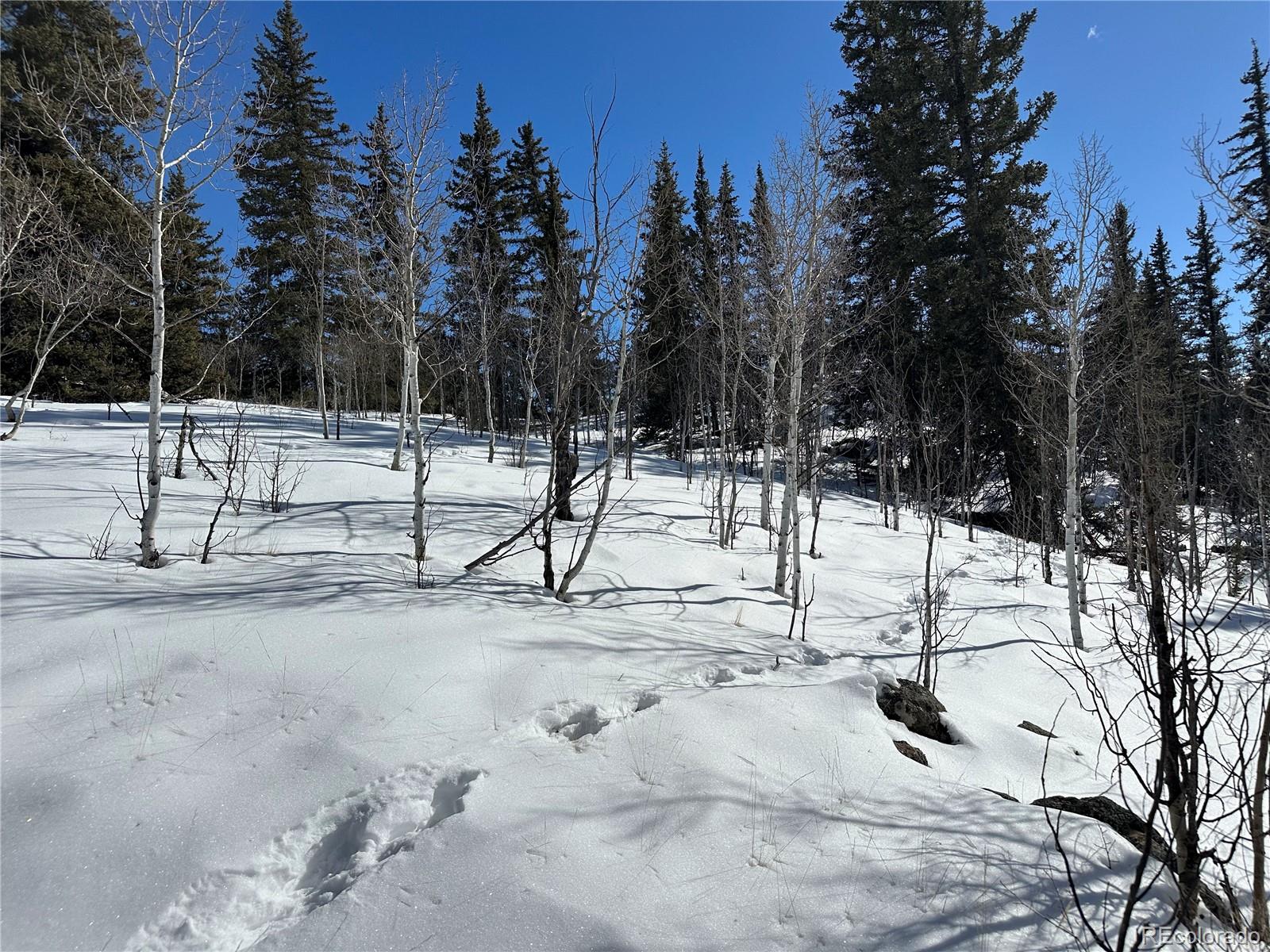 2092 Stagestop Road Jefferson, CO 80456 - Photo 25 of 27