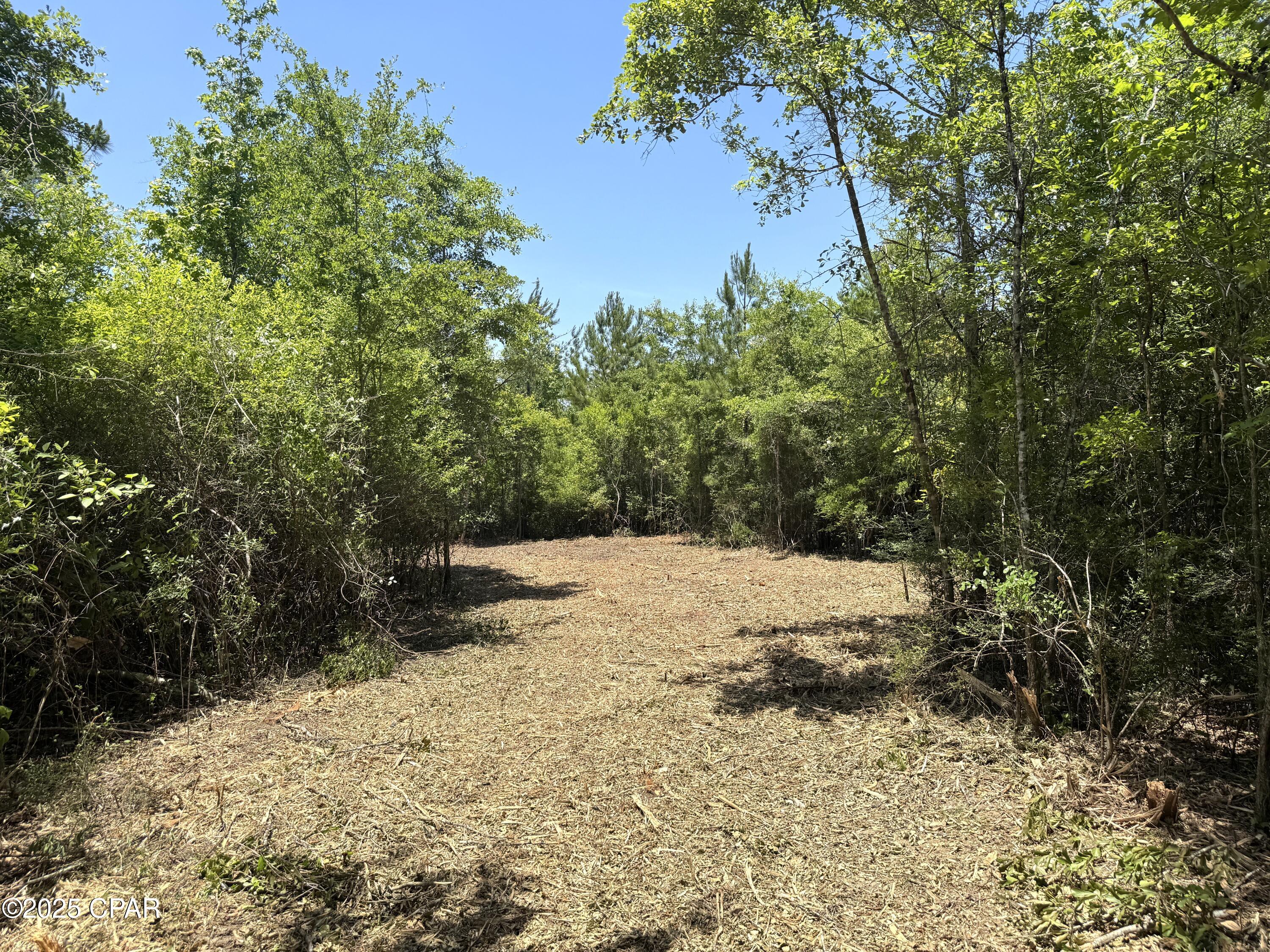 0 Mutual Road Cottondale, FL 32431 - Photo 20 of 38