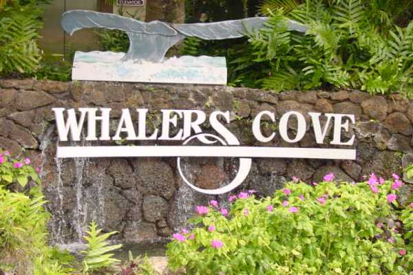 2640 Puuholo Road, Unit 211 Koloa, HI 96756 - Photo 2 of 22 Gallery Image 2