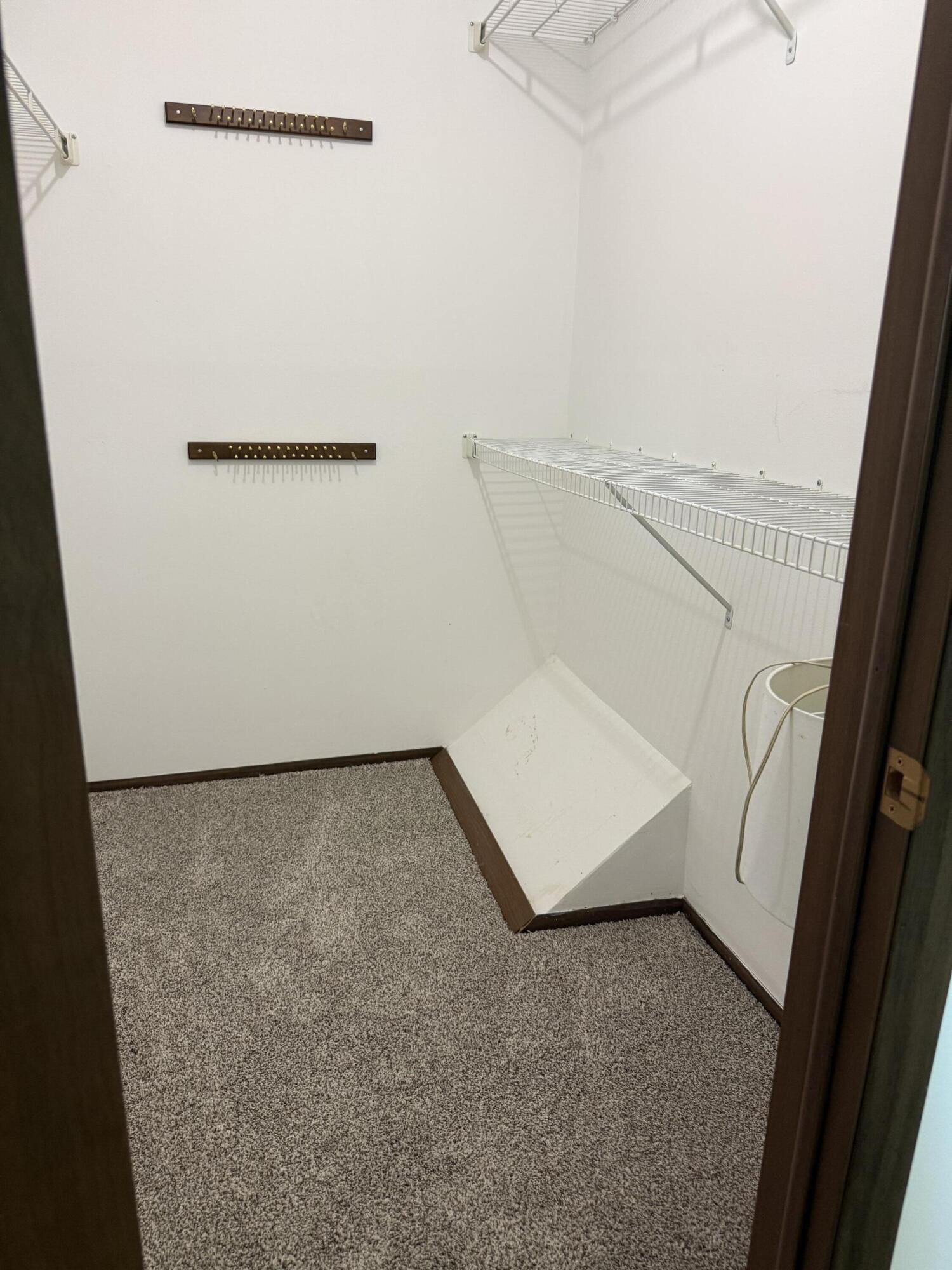 6942 North Raintree Drive, Unit C Milwaukee, WI 53223 - Photo 9 of 15 walk in closet
