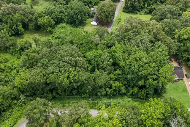 a view of a lush green forest