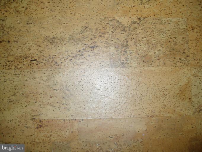 9312 Caroline Avenue Silver Spring, MD 20901 - Photo 2 of 16 Cork Flooring Upstairs