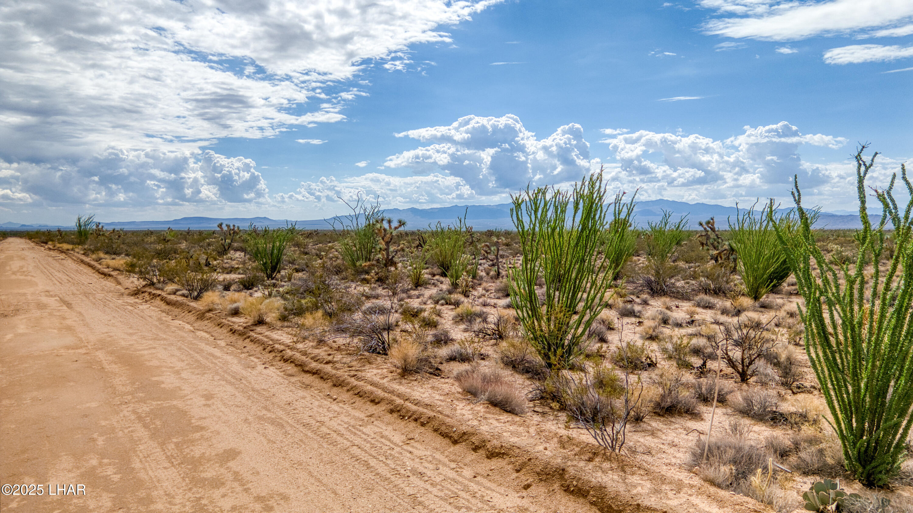 3607 South Kit Carson Road Yucca, AZ 86438 - Photo 2 of 19 1-print-3607 Kit Carson-01