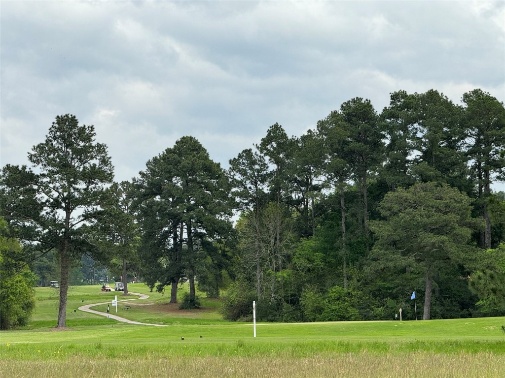 50 Westlake West Trinity, TX 75862 - Photo 21 of 23 a big yard with lots of green space and trees