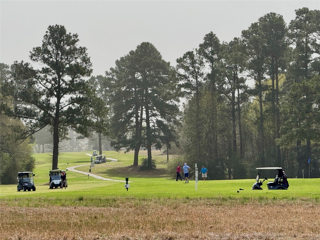 50 Westlake West Trinity, TX 75862 - Photo 23 of 23 a view of a park with large trees