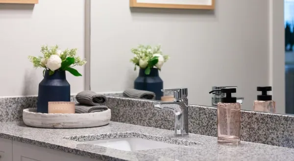 $1,726 | 19101 Town Ridge Lane, Unit 4106, Webster, TX 77598