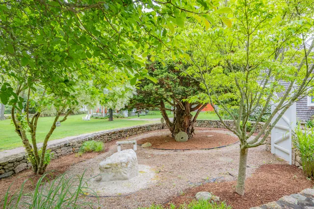 a view of a field with an ocean