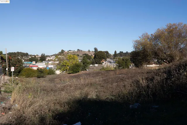 a view of a dry yard with trees
