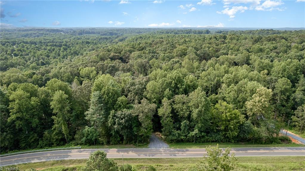 0 Low Bridge Road Franklinville, NC 27248 - Photo 4 of 13
