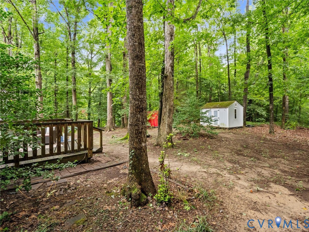 1625 Stone River Road North Chesterfield, VA 23235 - Photo 34 of 49 Expansive wooded property featuring a natural land