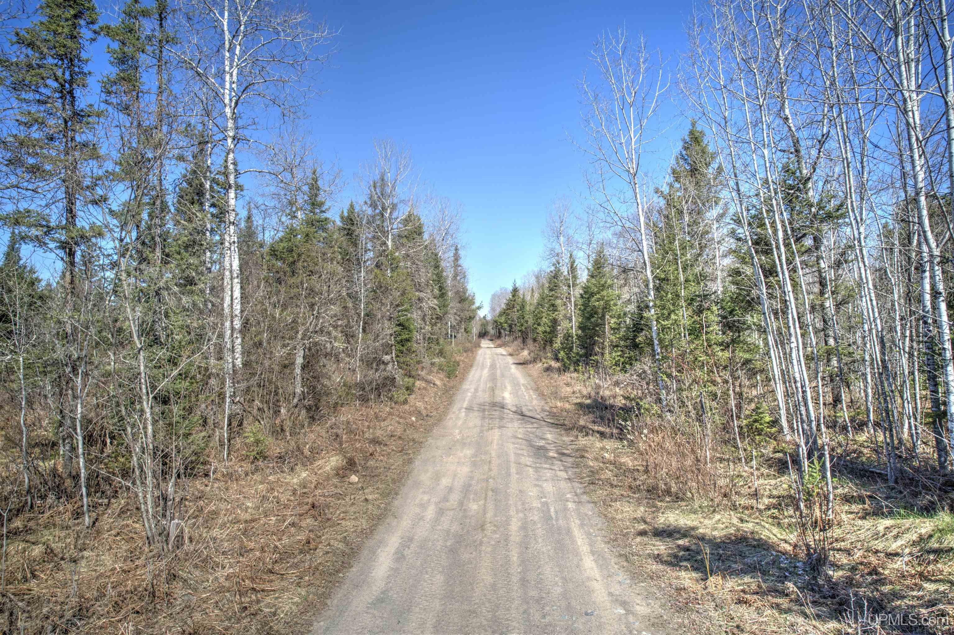 Tbd Wests Road Crystal Falls, MI 49920 - Photo 1 of 26