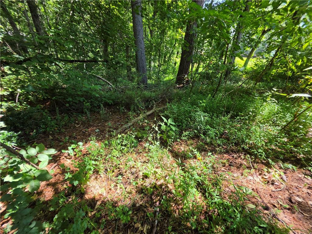 5170 Hurt Bridge Road Cumming, GA 30028 - Photo 24 of 26