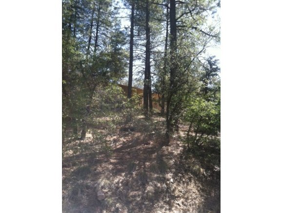 4805 South Juniper Loop Road Prescott, AZ 86303 - Photo 17 of 18 Additional Photo