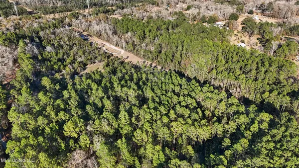 $125,000 | Bert Dedeaux Road, Saucier, MS 39574