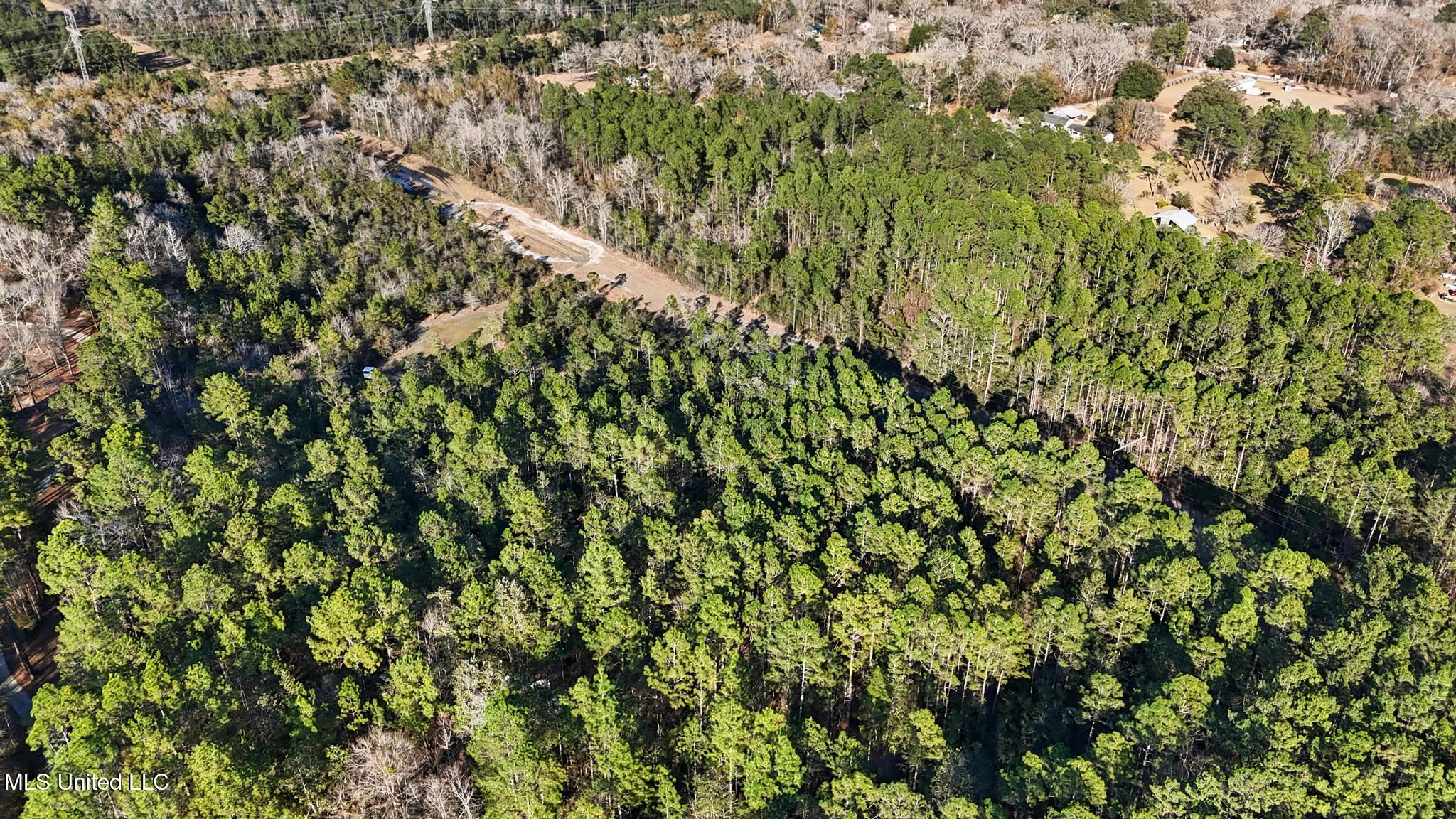 Henry Harley Road Saucier, MS 39574 - Photo 2 of 10 002