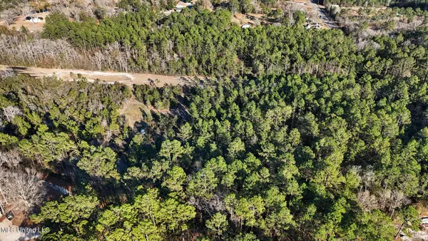 $125,000 | Bert Dedeaux Road, Saucier, MS 39574