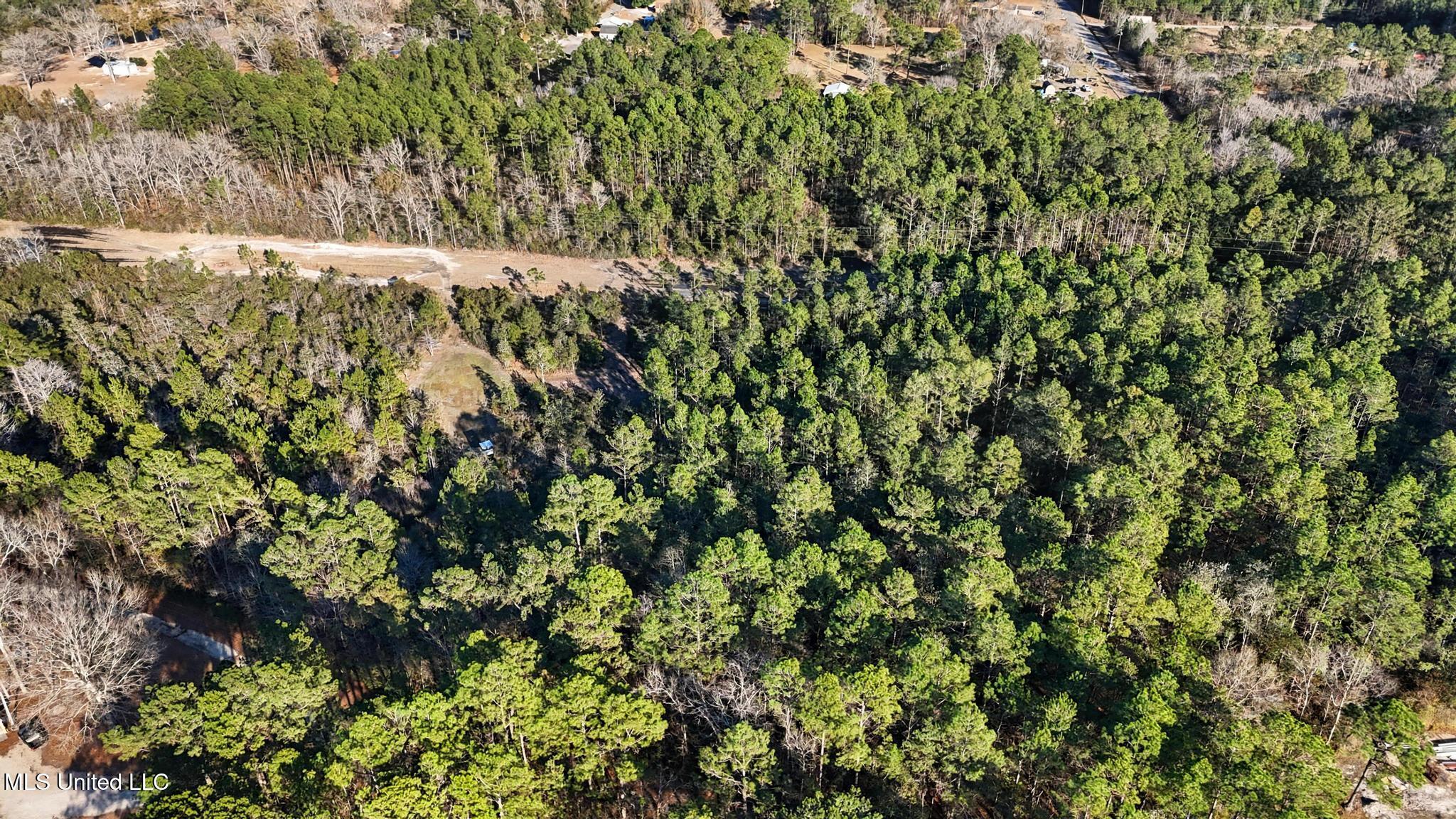 Henry Harley Road Saucier, MS 39574 - Photo 3 of 10 003