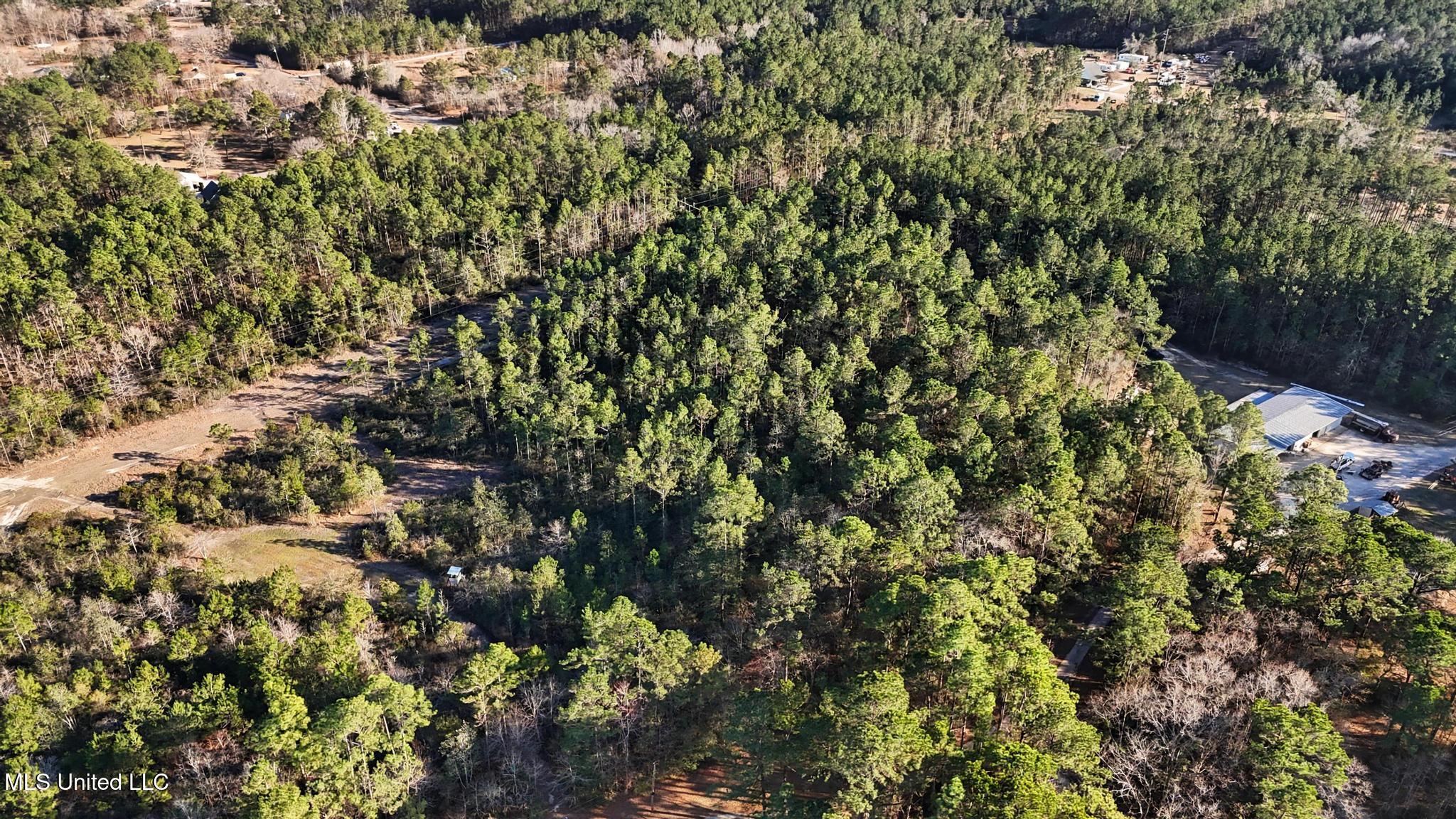 Henry Harley Road Saucier, MS 39574 - Photo 4 of 10 004