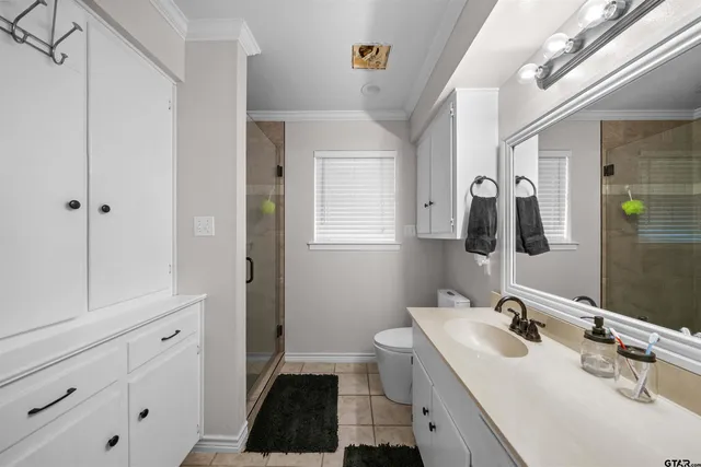 a bathroom with a sink a toilet a mirror and shower