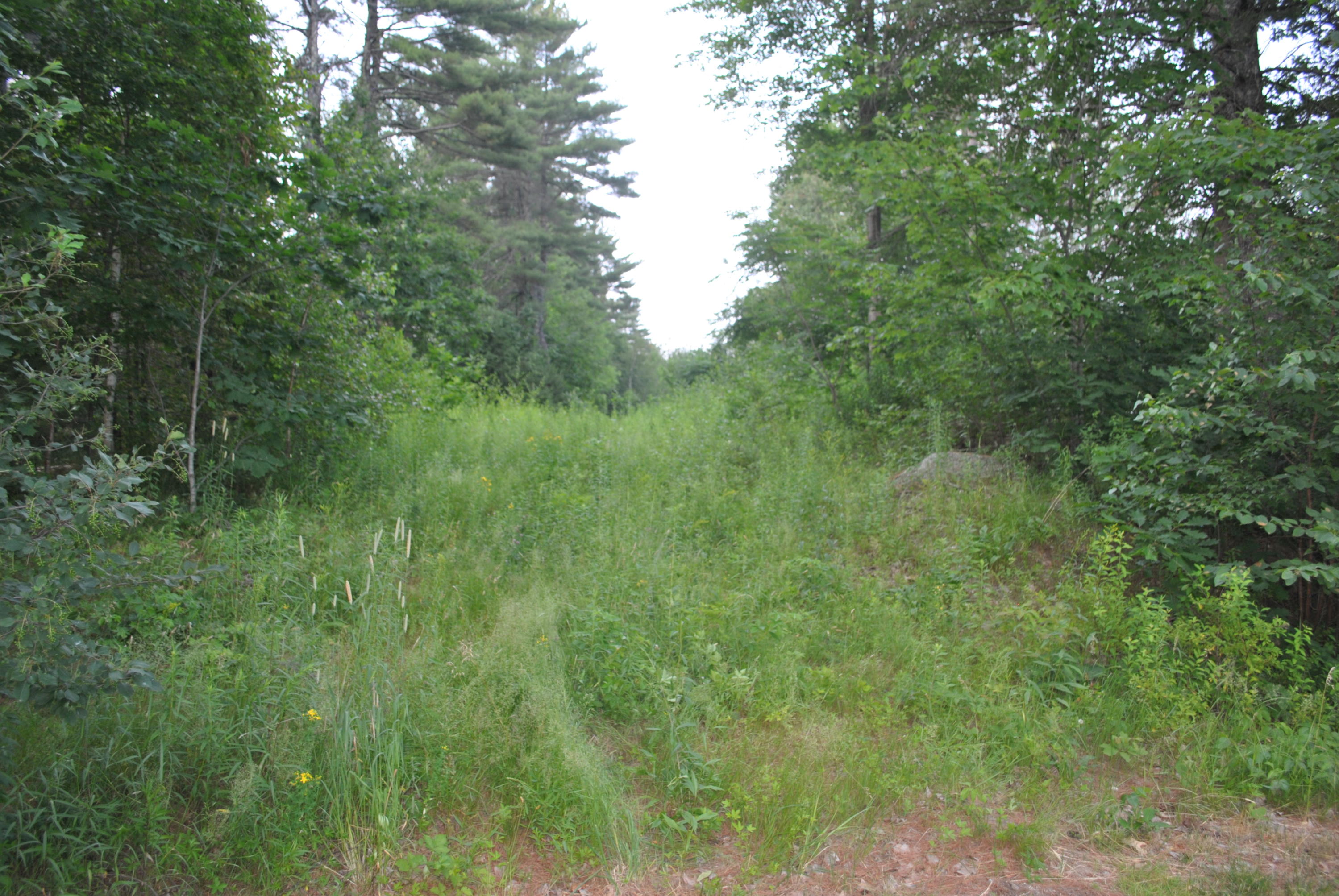 25 Webster Road Gorham, ME 04038 - Photo 3 of 4 DSC_2074