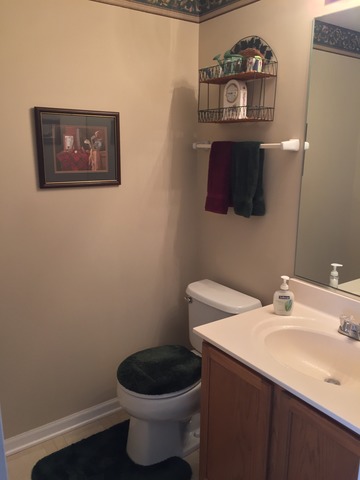 3452 Ravinia Circle, Unit 3452 Aurora, IL 60504 - Photo 12 of 14