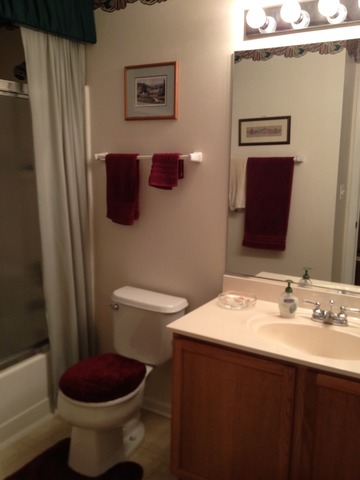 3452 Ravinia Circle, Unit 3452 Aurora, IL 60504 - Photo 8 of 14