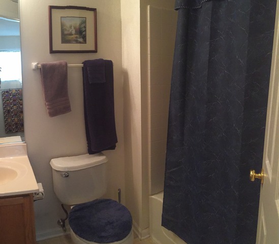 3452 Ravinia Circle, Unit 3452 Aurora, IL 60504 - Photo 10 of 14