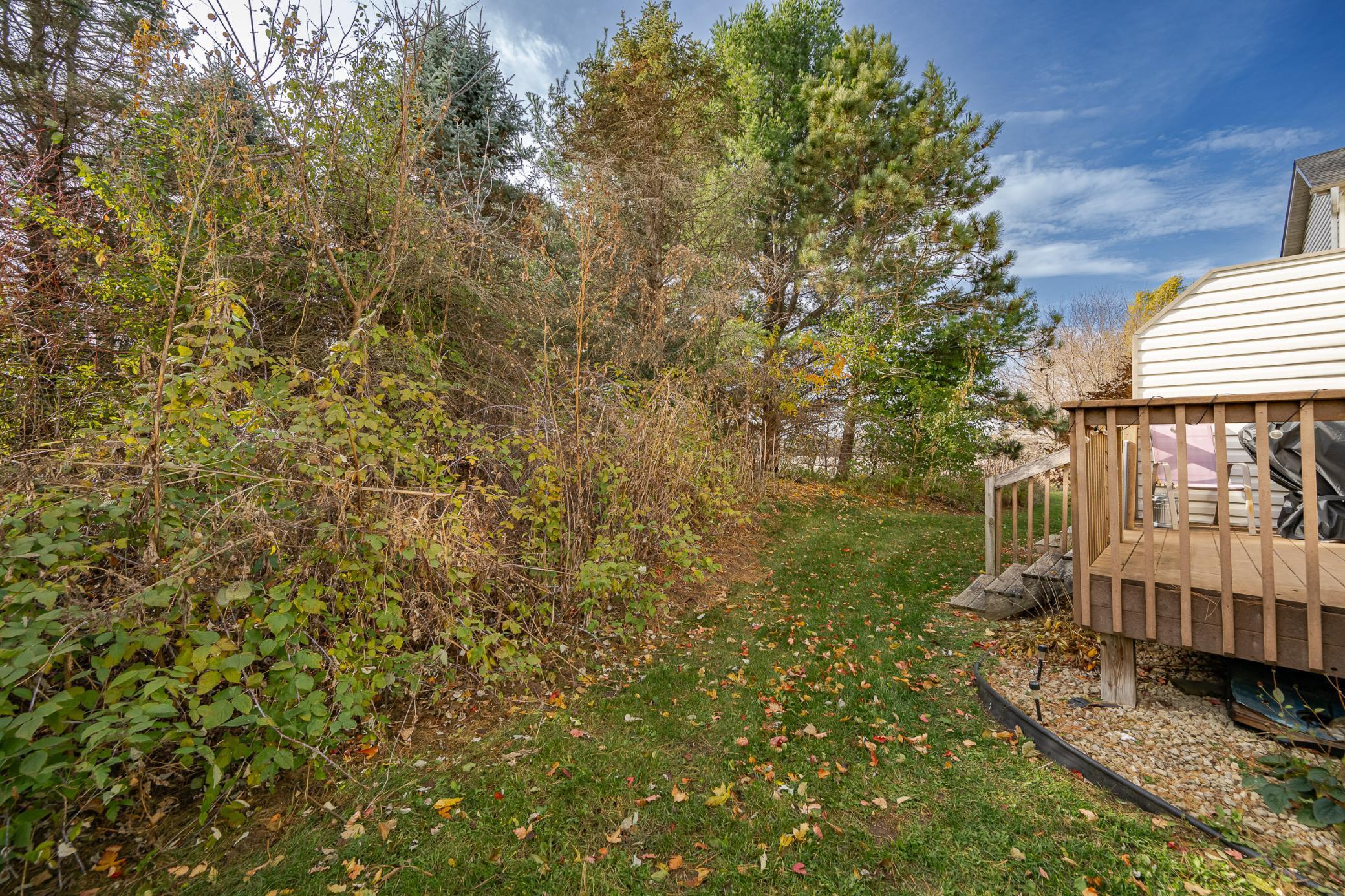 741 Baylee Place Southwest Pine Island, MN 55963 - Photo 3 of 31