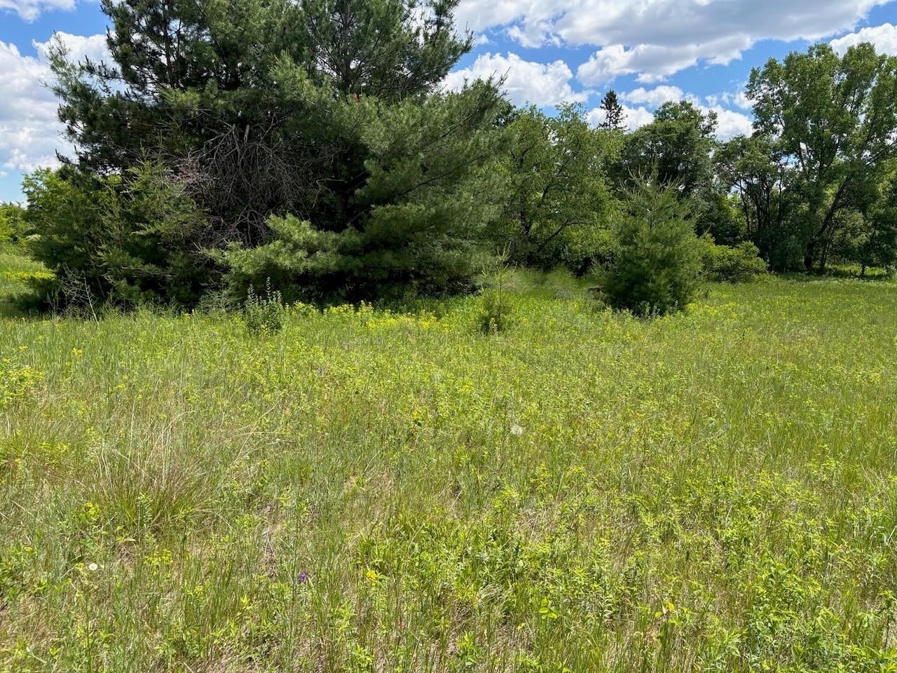 North Greenview Lane, Unit 2 Crivitz, WI 54114 - Photo 7 of 9