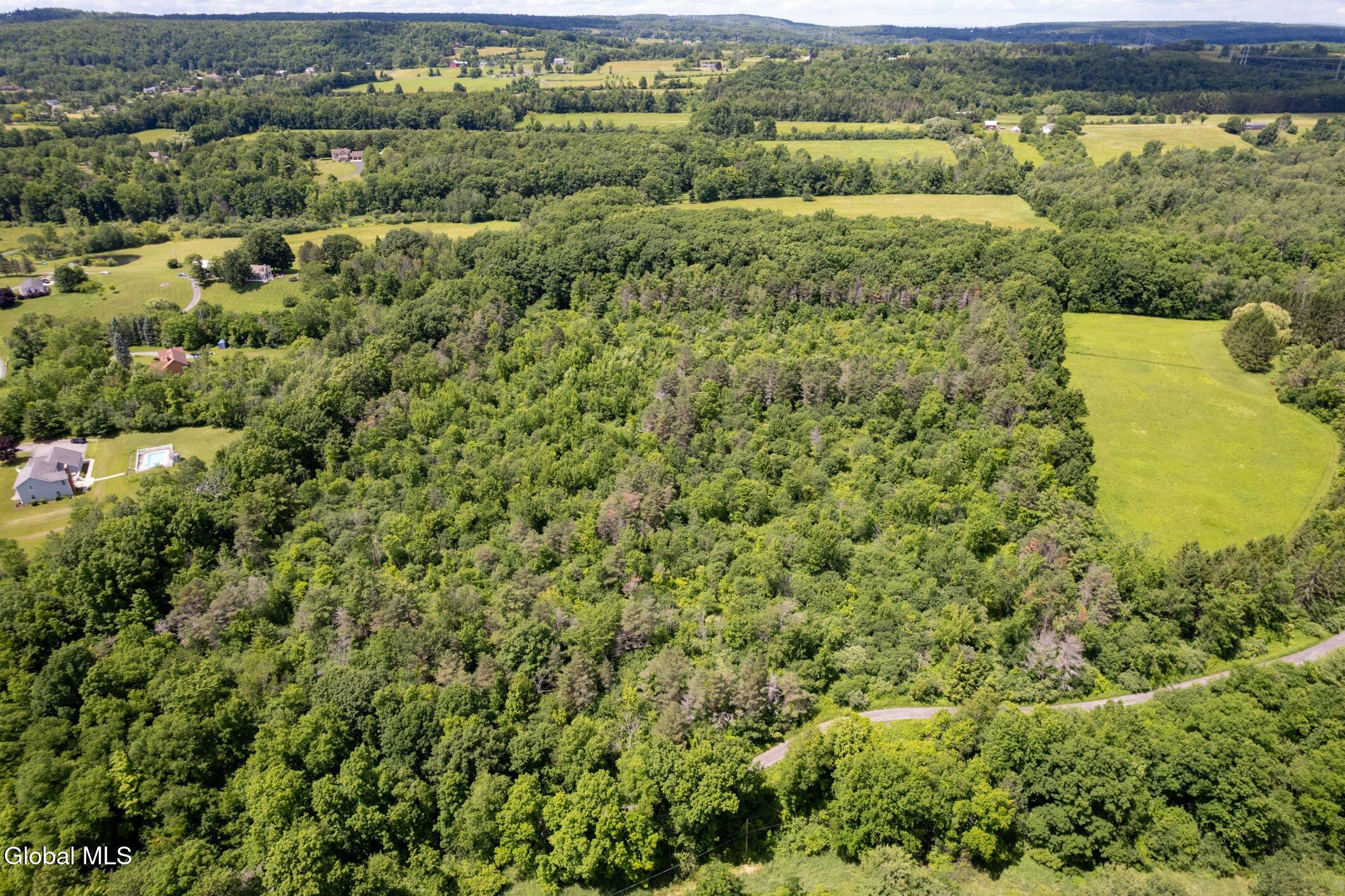 221 Schoolhouse Road Guilderland, NY 12203 - Photo 42 of 51 2-S Kelly