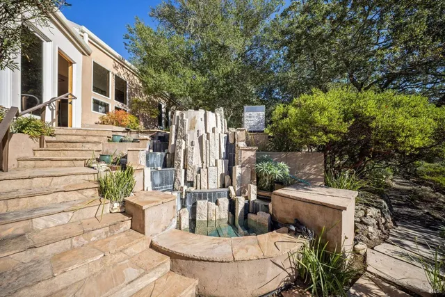 a view of a yard with plants and trees