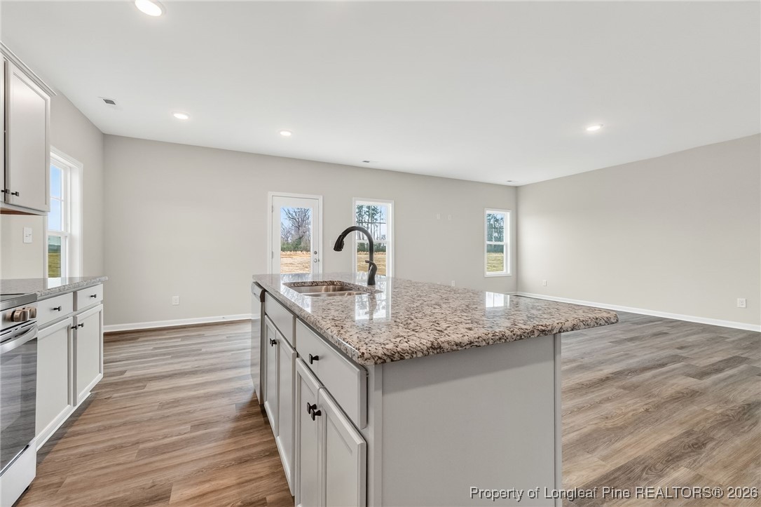 294 Arabia (lot 3) Road Raeford, NC 28376 - Photo 18 of 46 Gallery Image 18