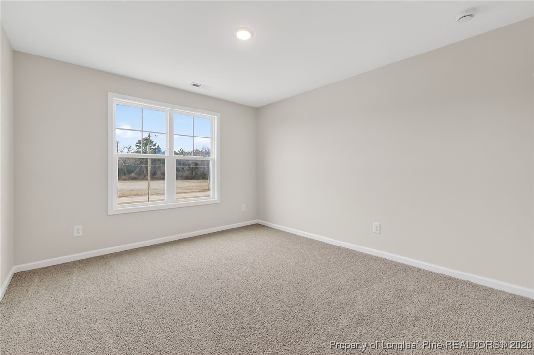 294 Arabia (lot 3) Road Raeford, NC 28376 - Photo 26 of 46 Gallery Image 26