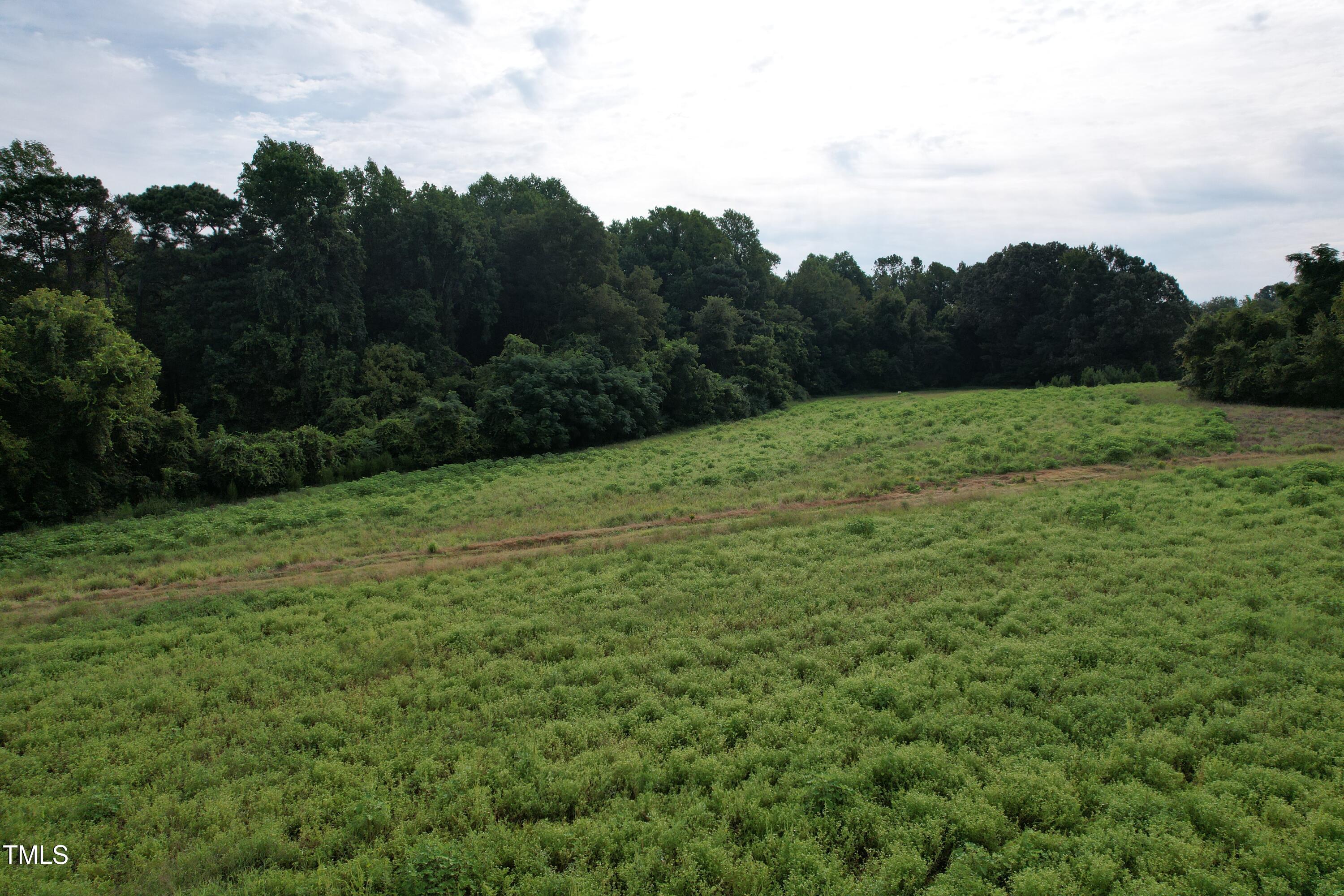 1103 Holland Road Fuquay-Varina, NC 27526 - Photo 4 of 10 a view of an outdoor space with a lake view