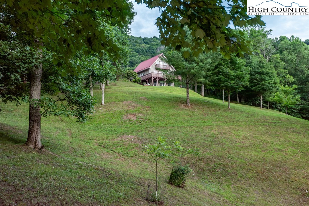 1195 Long Branch Road Lansing, NC 28643 - Photo 11 of 31 a backyard of a house with lots of green space